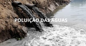 Questões comentadas sobre poluição da água