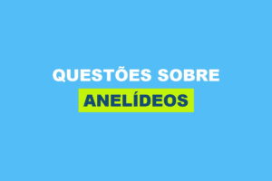 Anelídeos: perguntas e respostas essenciais