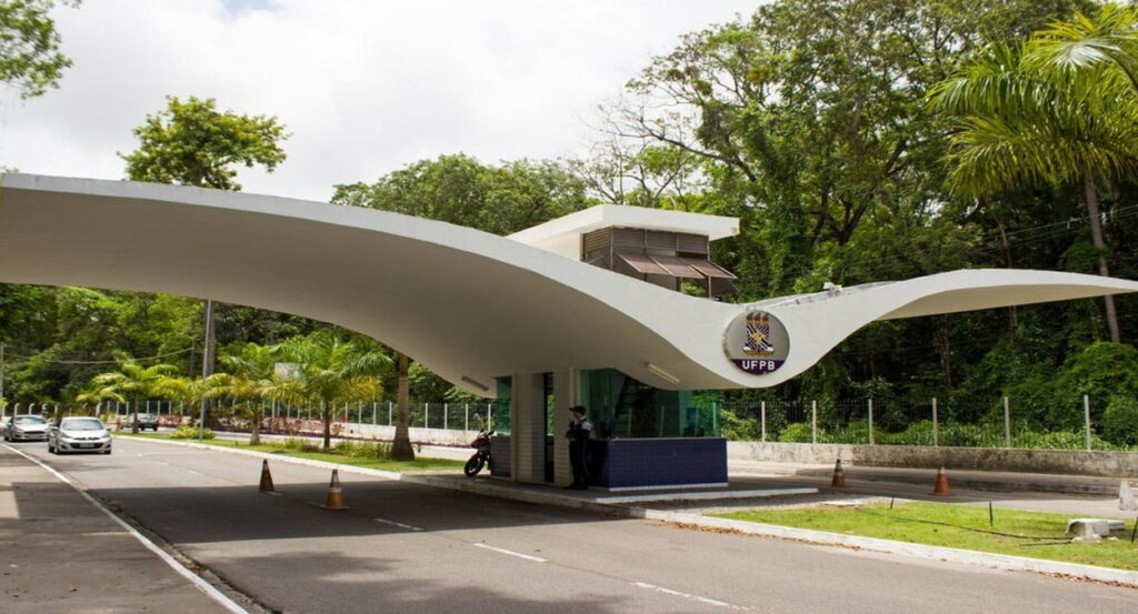 Arqueas: entenda as principais características