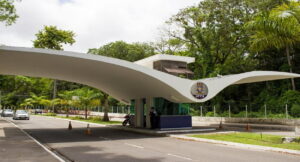 Arqueas: entenda as principais características