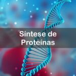 Questões comentadas sobre síntese de proteínas