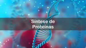 Questões comentadas sobre síntese de proteínas