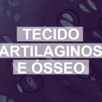 Questões comentadas sobre Tecidos Cartilaginoso e Ósseo
