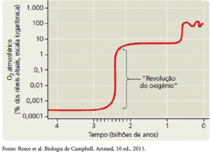 Análise de gráfico: origem das mitocôndrias comentada