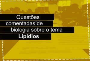 Lipídios: entenda o que são e sua função no corpo